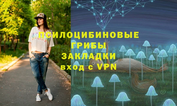 сатива Вязники