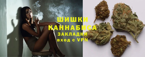 сатива Вязники