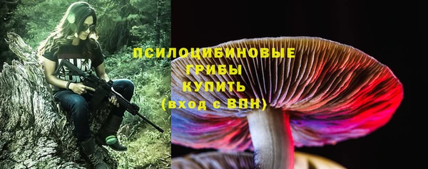 сатива Вязники