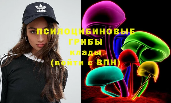 сатива Вязники
