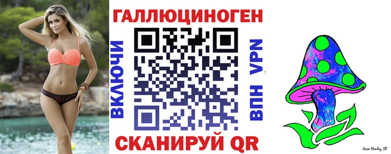 дарк нет как зайти  Серпухов  Псилоцибиновые грибы MAGIC MUSHROOMS 